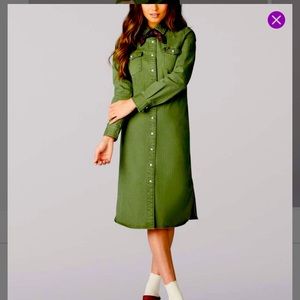 Green Jean Shirtdress